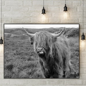Highland Cow Wall Art | Highland Cow Canvas Wall Art, Canvas Art Highland Cow Prints, Black And White Animal , Farmhouse Decor, Animal Art
