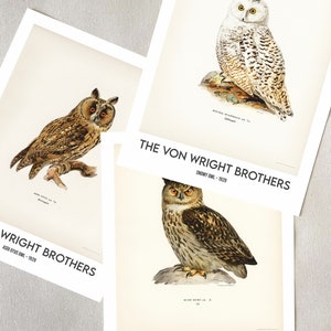 May include: Three vintage illustrations of owls, each with the text "The Von Wright Brothers" and the owl's name and year. The first owl is a snowy owl, the second is a Eurasian eagle owl, and the third is a long-eared owl.