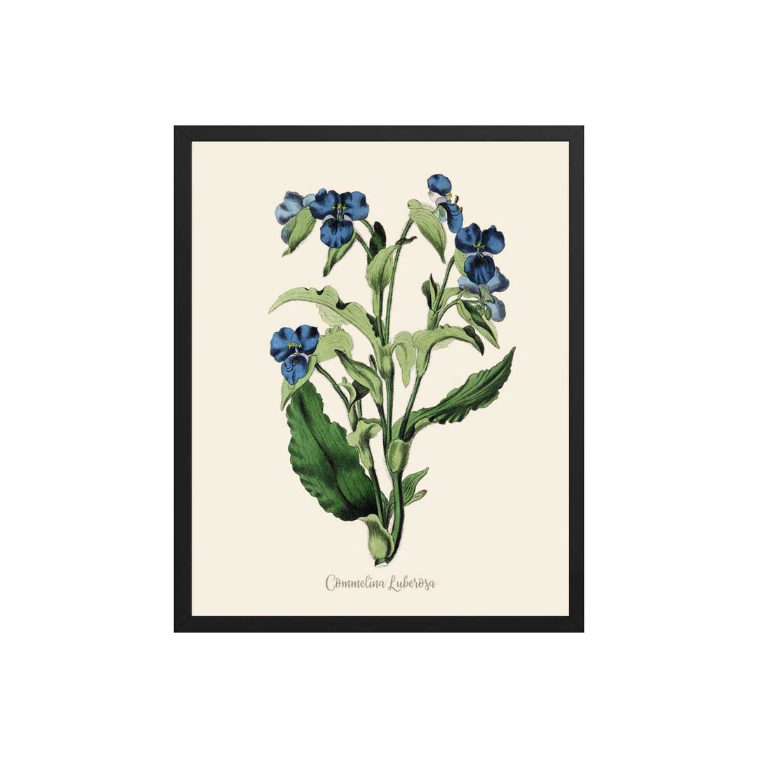 Blue Flower Art Print Blue Botanical Prints, Farmhouse Prints, Blue