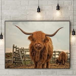 Highland Cow Wall Art | Highland Cow Canvas Wall Art, Canvas Art Highland Cow Prints, Cow Poster, Cow Painting, Farmhouse Decor FRAMED