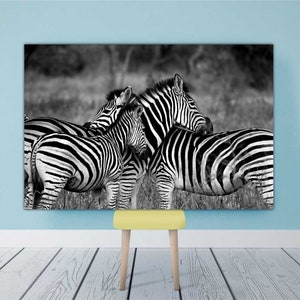 Zebra Canvas Art | Zebra Wall Art, Zebra Wall Decor, 5 Piece Premium Canvas Print, Modern Framed Canvas Art, Zebra Lover Wall Poster FRAMED