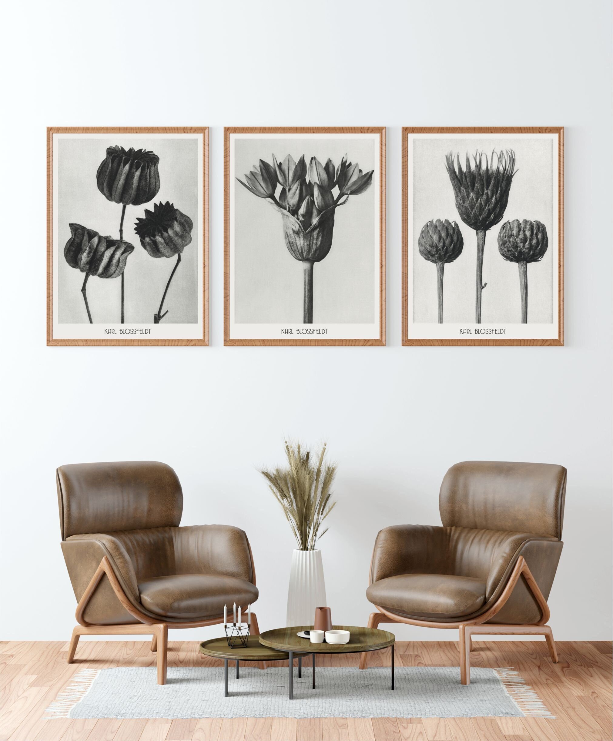 Karl blossfeldt - Etsy 日本