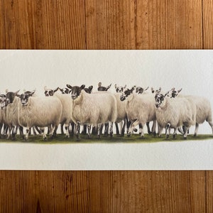 Come-Bye - Limited Edition Giclee Panorama Schaf Druck: Tier Zeichnung Landschaft Kunst Bauernhof Hof Bauernhaus Dekor Schäferhund Collie Mutterschafe