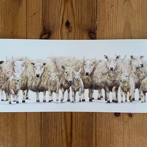 Weiden Neu - Limitierte Panorama Giclee Schaf Mutterschafe und Lämmer Druck: Bauernhof Bauernhaus Landschaft Zeichnung Bauer Bauernhof Tiere