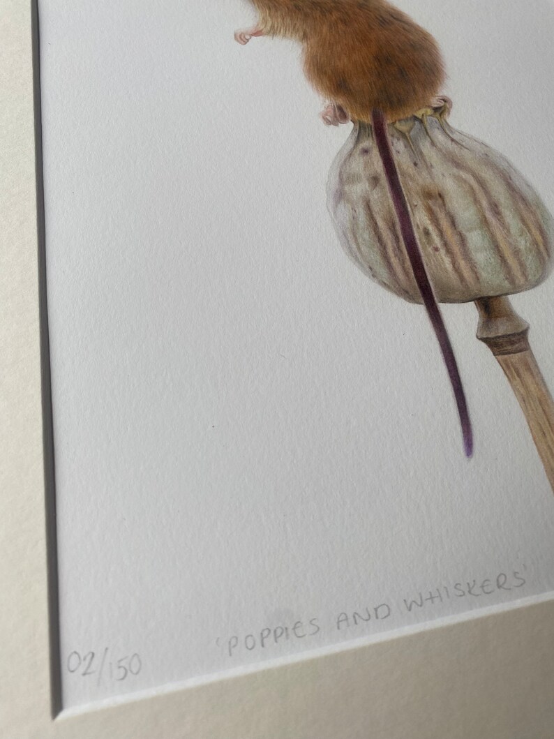 Poppy Mouse Tools Poppies and Whiskers - Limited Edition Giclée Harvest Mouse Print ...