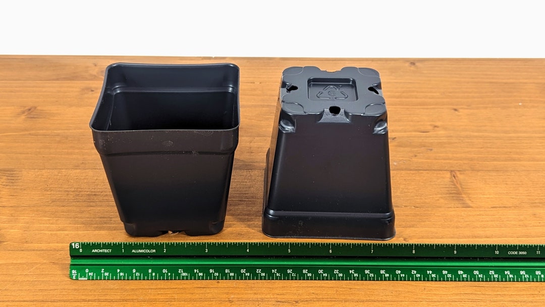 Square Plastic Nursery Plant Pot 4 Inch Etsy