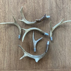 Antler Lamps 