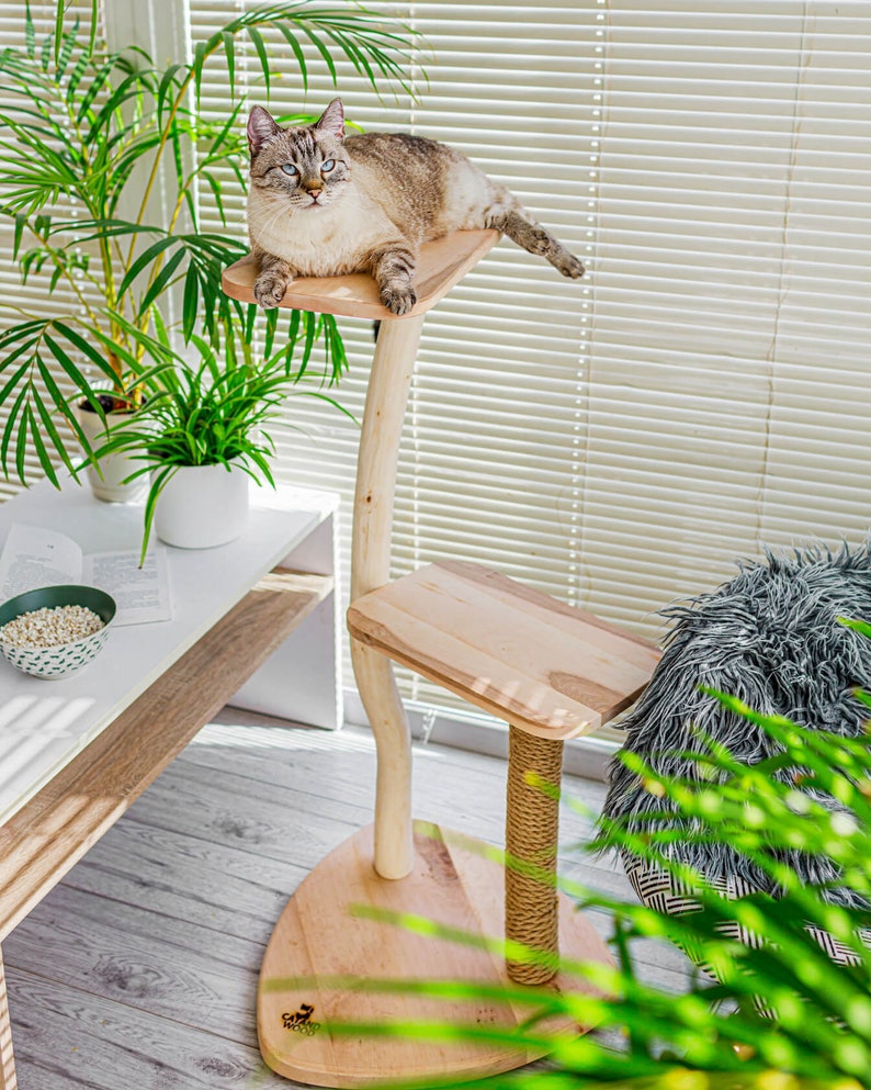 Cat Tree With Wood and Small Natural Unique Design With Etsy