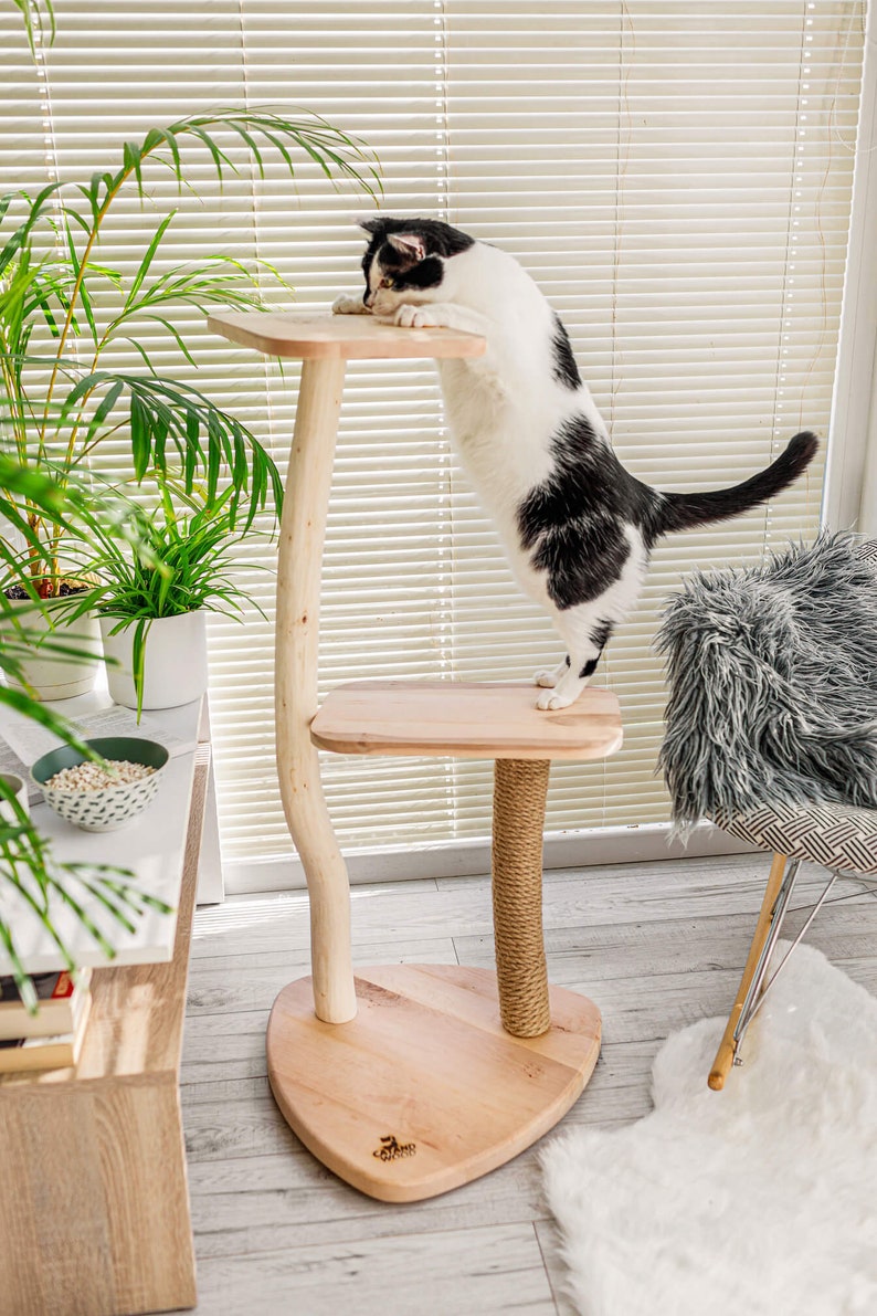 Cat Tree With Wood and Small Natural Unique Design With Etsy