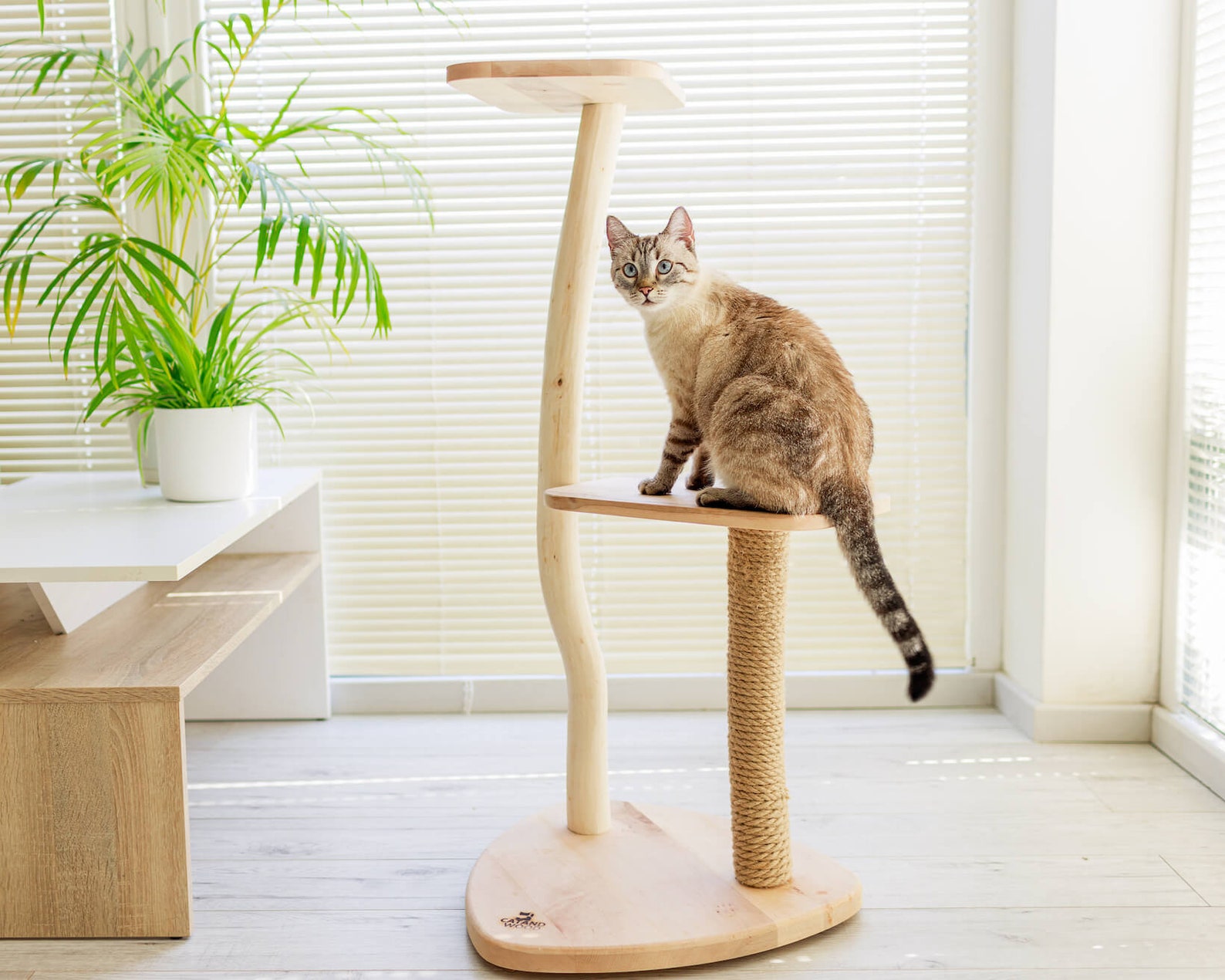Cat Tree With Wood and Small Natural Unique Design With Etsy