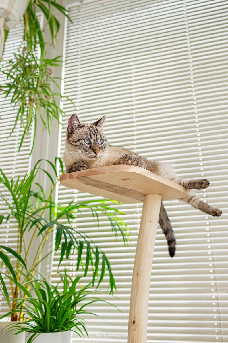 Cat Tree With Wood and Small Natural Unique Design With Etsy