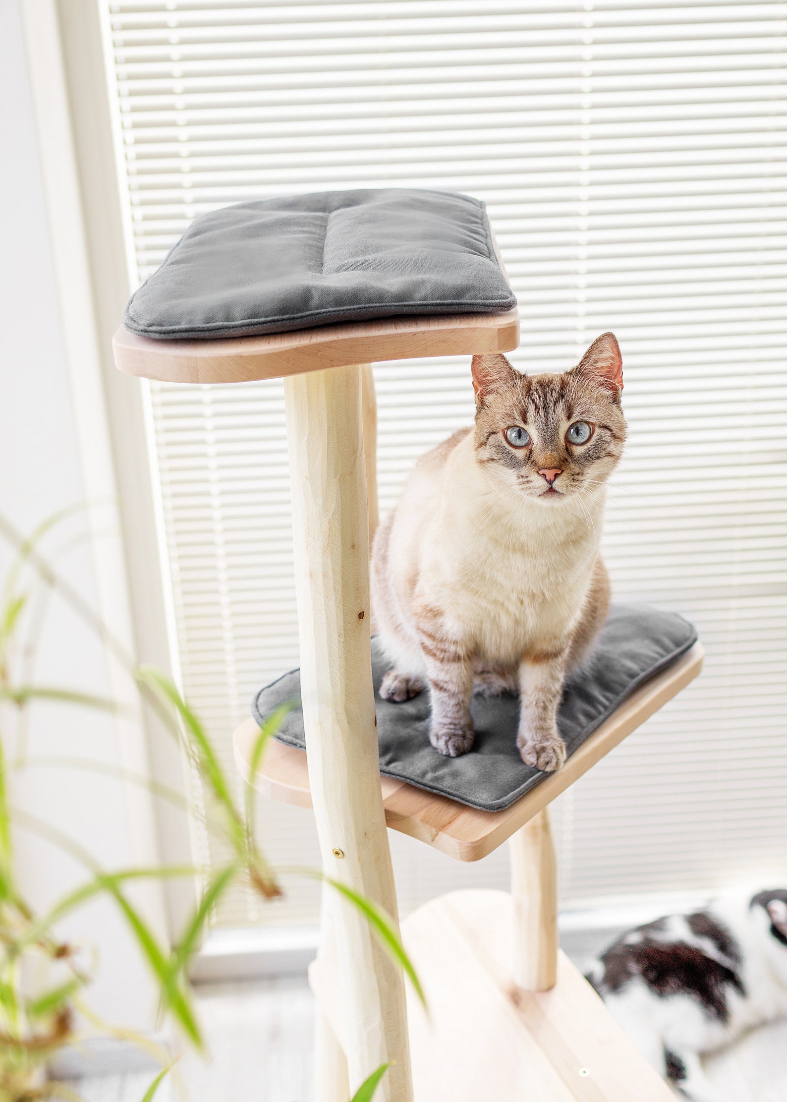 Cat Tree With Wood Natural Large and Tall Cat Tree Etsy