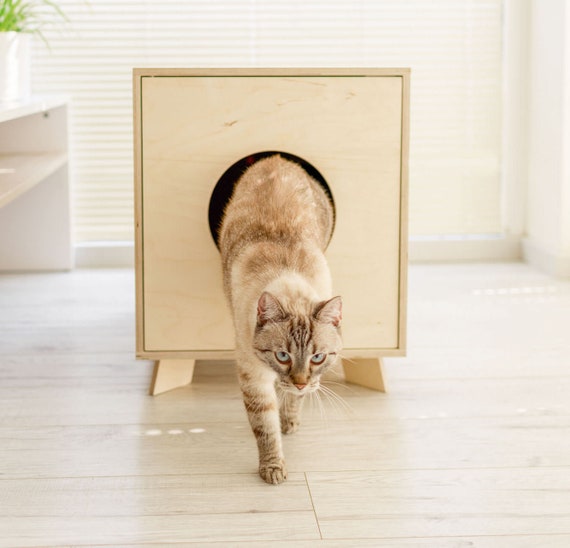 Enclos De Litiere Pour Chat Couvercle Armoire Bac A Etsy Canada
