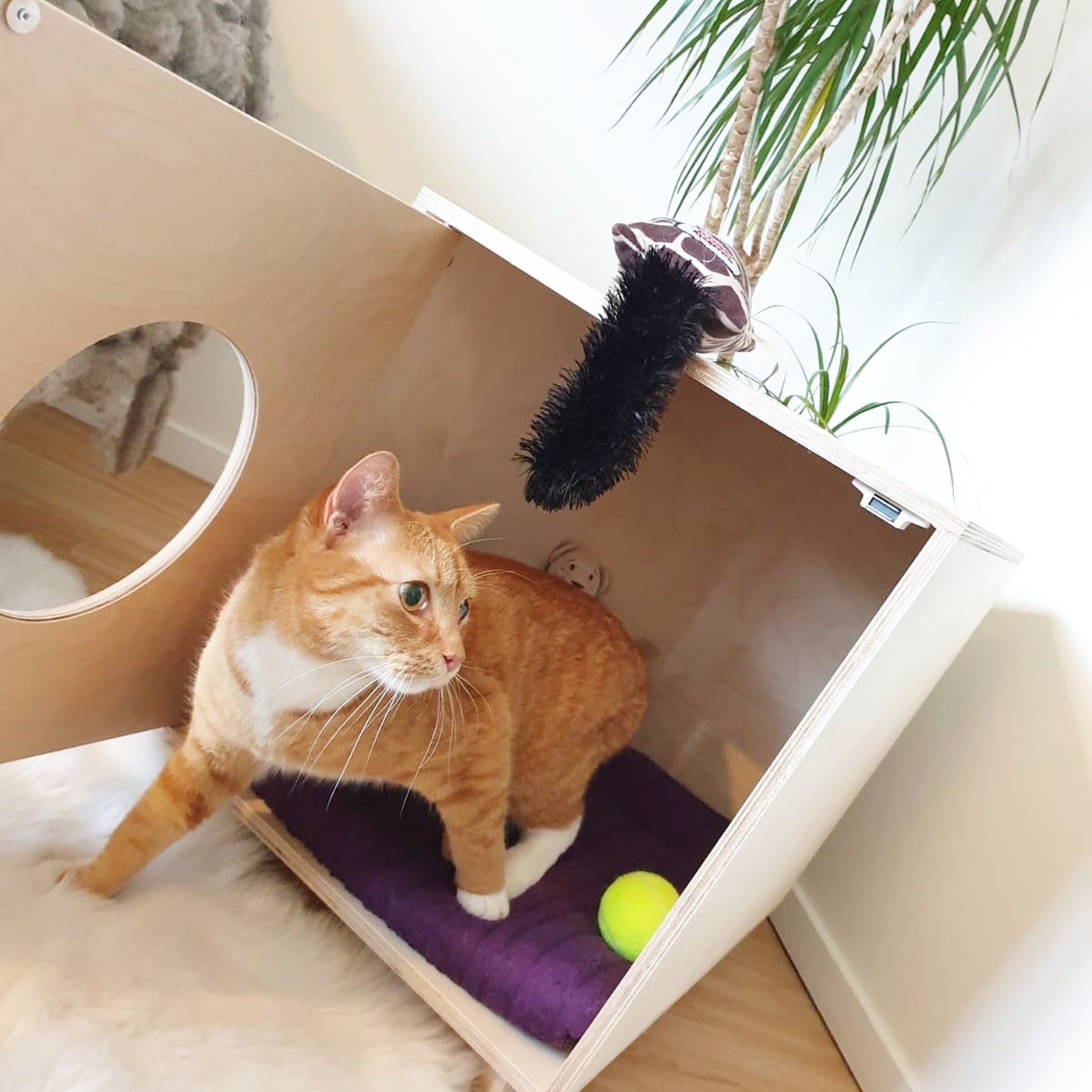 Cat Litter Box Enclosure / Cover / / Furniture / Cat Etsy