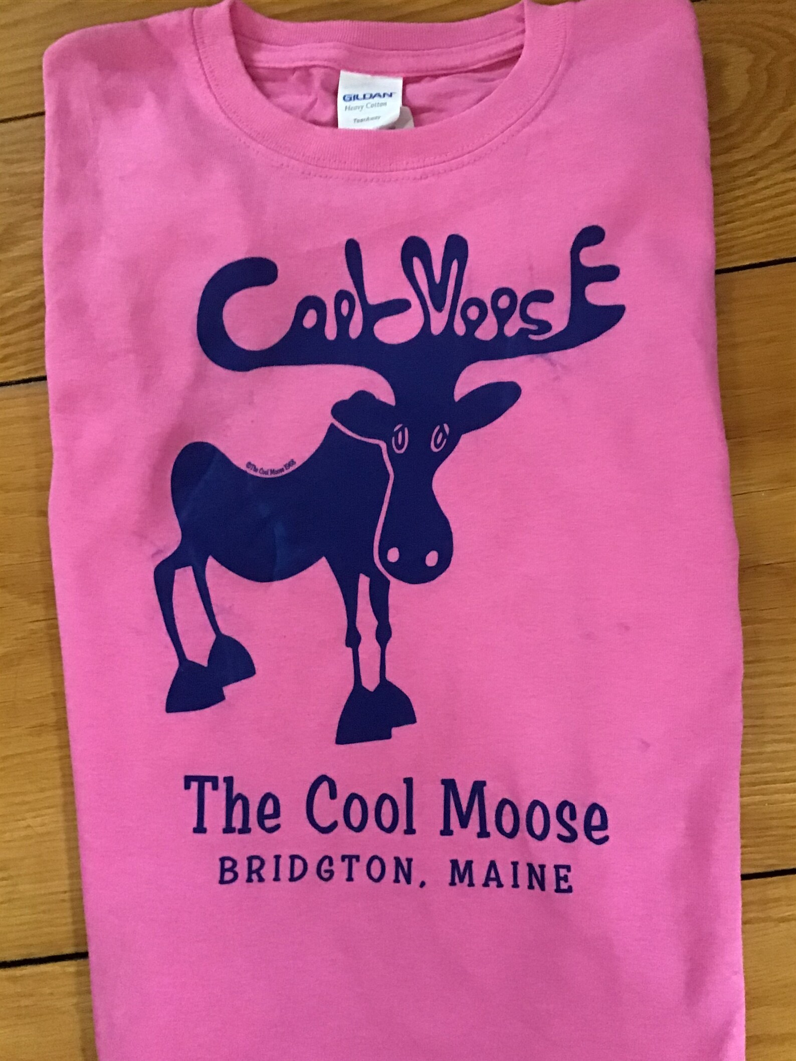 The Original Cool Moose Shirt for Kids in Pink Etsy