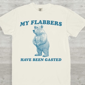 My Flabbers Have Been Gasted Vintage Shirt, Retro Distressed Shirt, Meme Shirt, Unisex T Shirt, Funny Gift, Young Men Gift, Weird T-Shirt