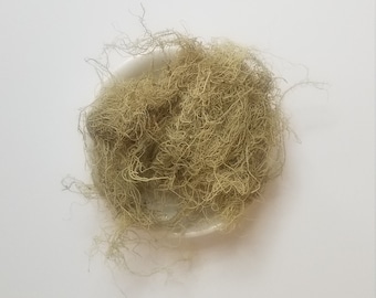 Whole Usnea Lichen wildcrafted