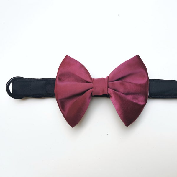 Dog Satin Bow Ties With Black Satin Collar