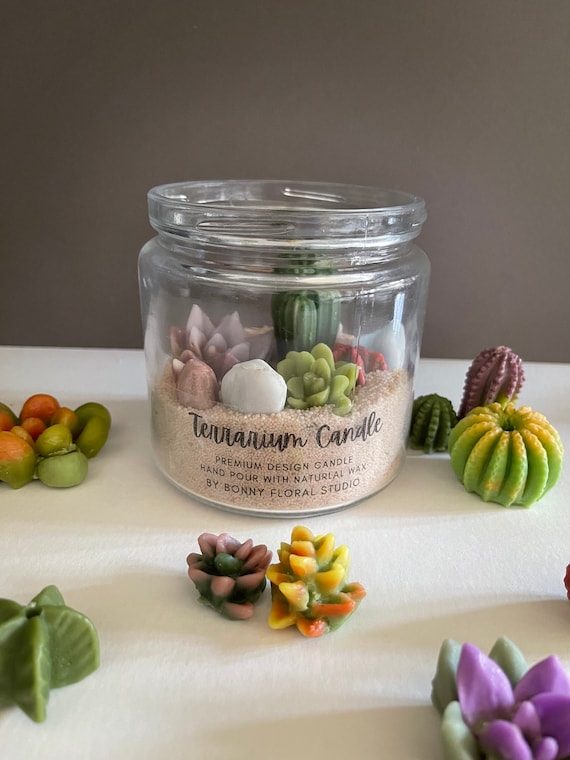 Terrarium DIY Candle Real Succulent Decor Candle Making Kit Etsy