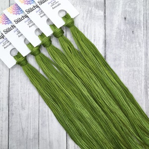 Avocado - hand-dyed DMC cotton floss variegated thread