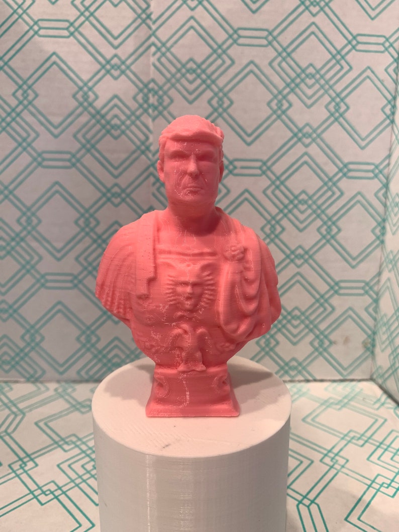 President Donald Trump Bust 3D Printed Pink