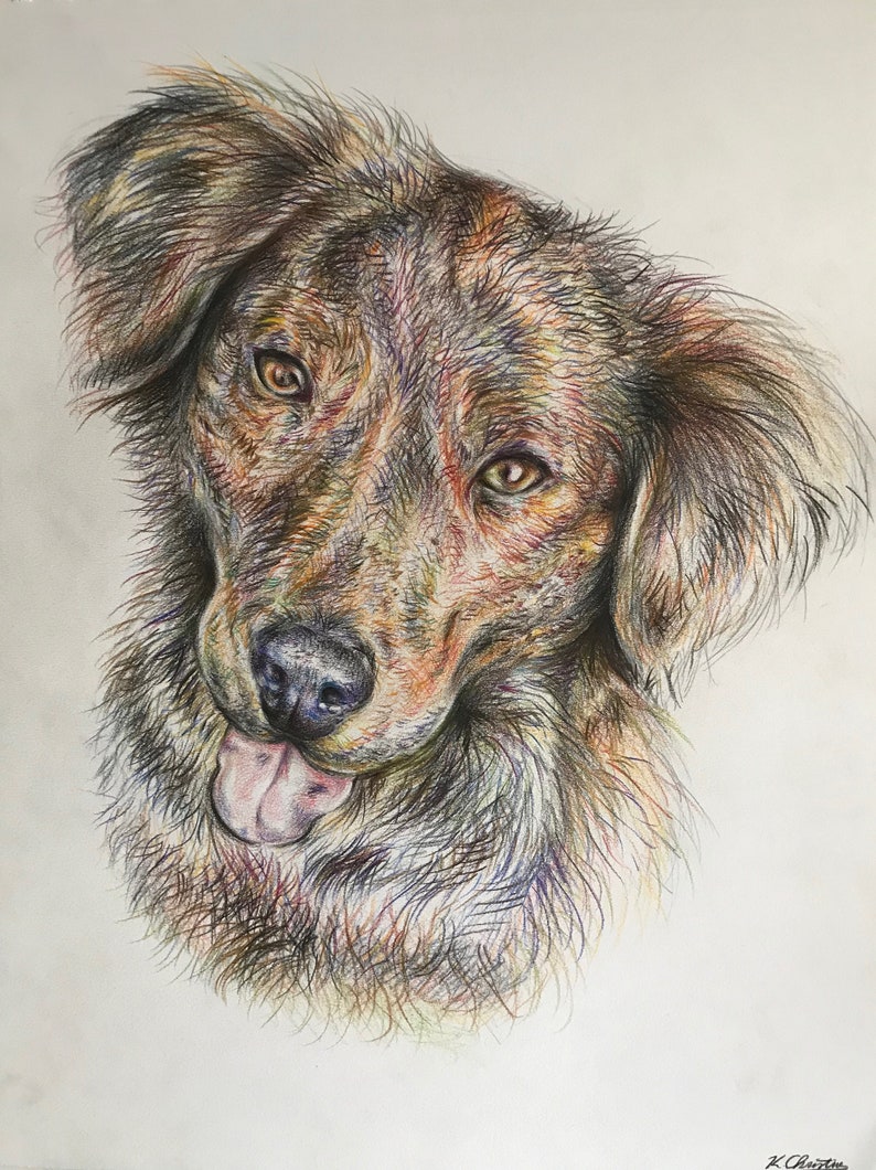 COLORED PENCIL SKETCH Dog Portrait Customized Pet Portrait Etsy