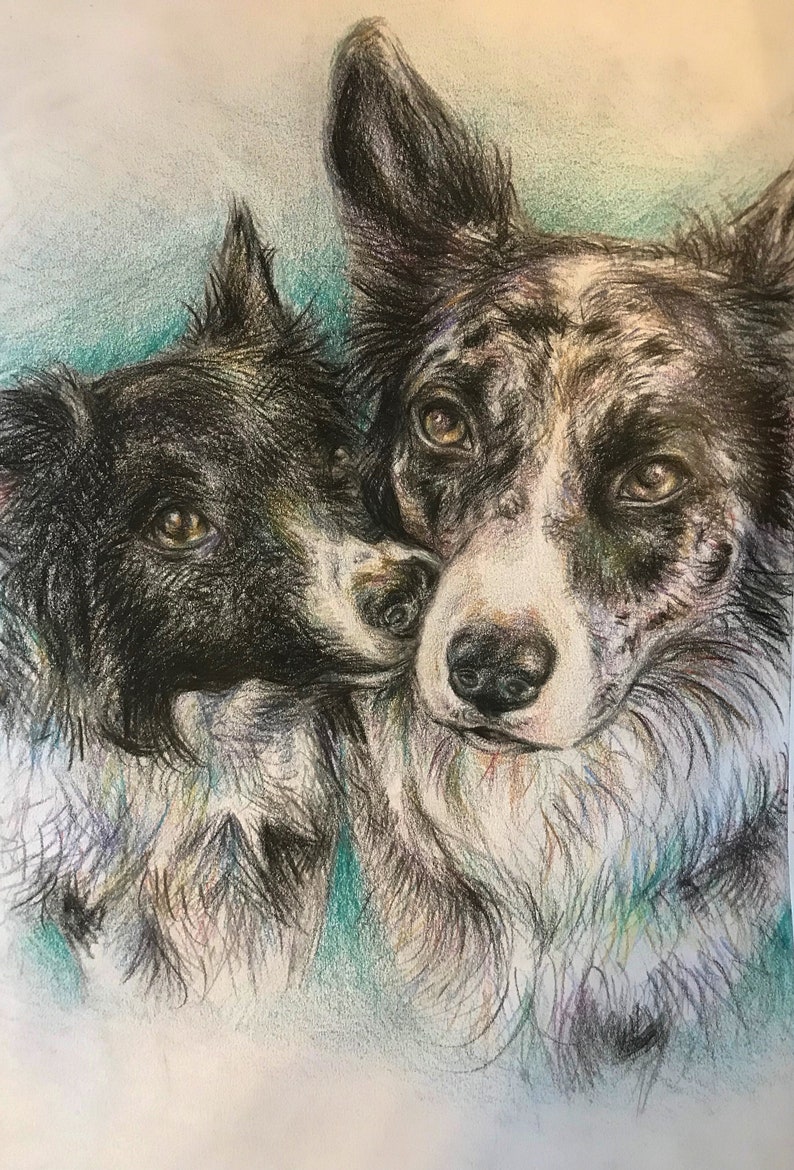 COLORED PENCIL SKETCH Dog Portrait Customized Pet Portrait Etsy