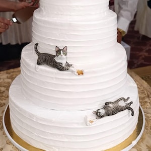 Personalized Cat Wedding Cake Topper, Pet Birthday gift, Cat Clay Sculpture