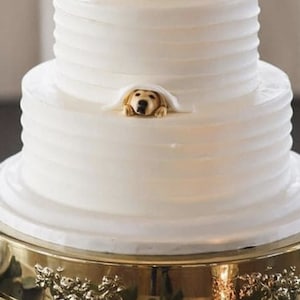 Personalized Custom Dog Wedding Cake Topper, Dog Cake Topper,Wedding Cake Topper With Dog，Cat Cake Topper , Pets Birthday