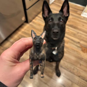 Custom dog cake toppers, personalized pet wedding cake sculptures, dog birthdays, cat cake toppers, gifts for dog lovers,dog clay sculptures