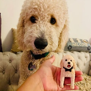 Personalized Custom Dog Wedding Cake Topper, Dog Cake Topper,Wedding Cake Topper With Dog，Cat Cake Topper , Pets Birthday