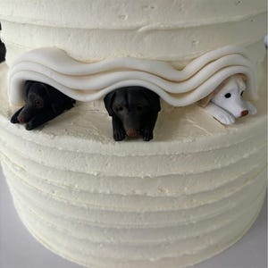 Personalized Custom Dog Wedding Cake Topper, Pet Cake Topper, Pet Birthday, Cat Cake Topper, Pet Anniversary, Dog Figurine, Dog Birthday