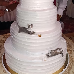 パーソナライズされたカスタムペット猫ウェディングケーキトッパー、ペットの誕生日、猫ケーキトッパー、記念日ペット、ペットデコレーション、ケーキトッパー