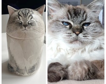 Custom Cat Urn, Personalized Cat Urn with Half Lid Urn, Multi-Purpose, Pet Loss, Pet Memorial Urn, Pet Memorial Gifts