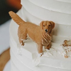 Personalized custom pets Pets wedding cake topper, Dog cake topper, Wedding cake topper , Pets birthday ,wedding cake topper with dog, best