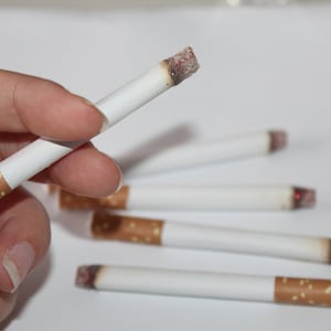 Realistic Cigarette Props for Film, TV, Halloween and Special Effects Makeup. Fake cigar, fake prop, collective halloween makeup. SFX