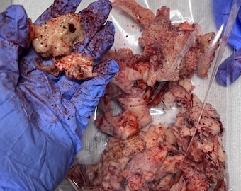 Fake Bloody Body Flesh Zombie Brains for Film Halloween Special Effects Makeup SFX crime scene prop