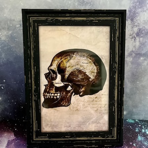 Grays Anatomy Labeled Skull Frame medisch diagram. Autopsie, educatieve kaarten operaties, tekenen, medicijnkunstwerken, horrorrekwisiet, apotheek