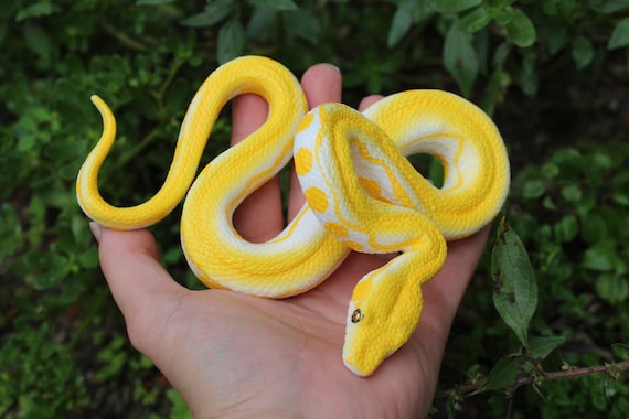 ALBINO PYTHON RUBBER SNAKE-M ALBINO PYTHON RUBBER SNAKE-M