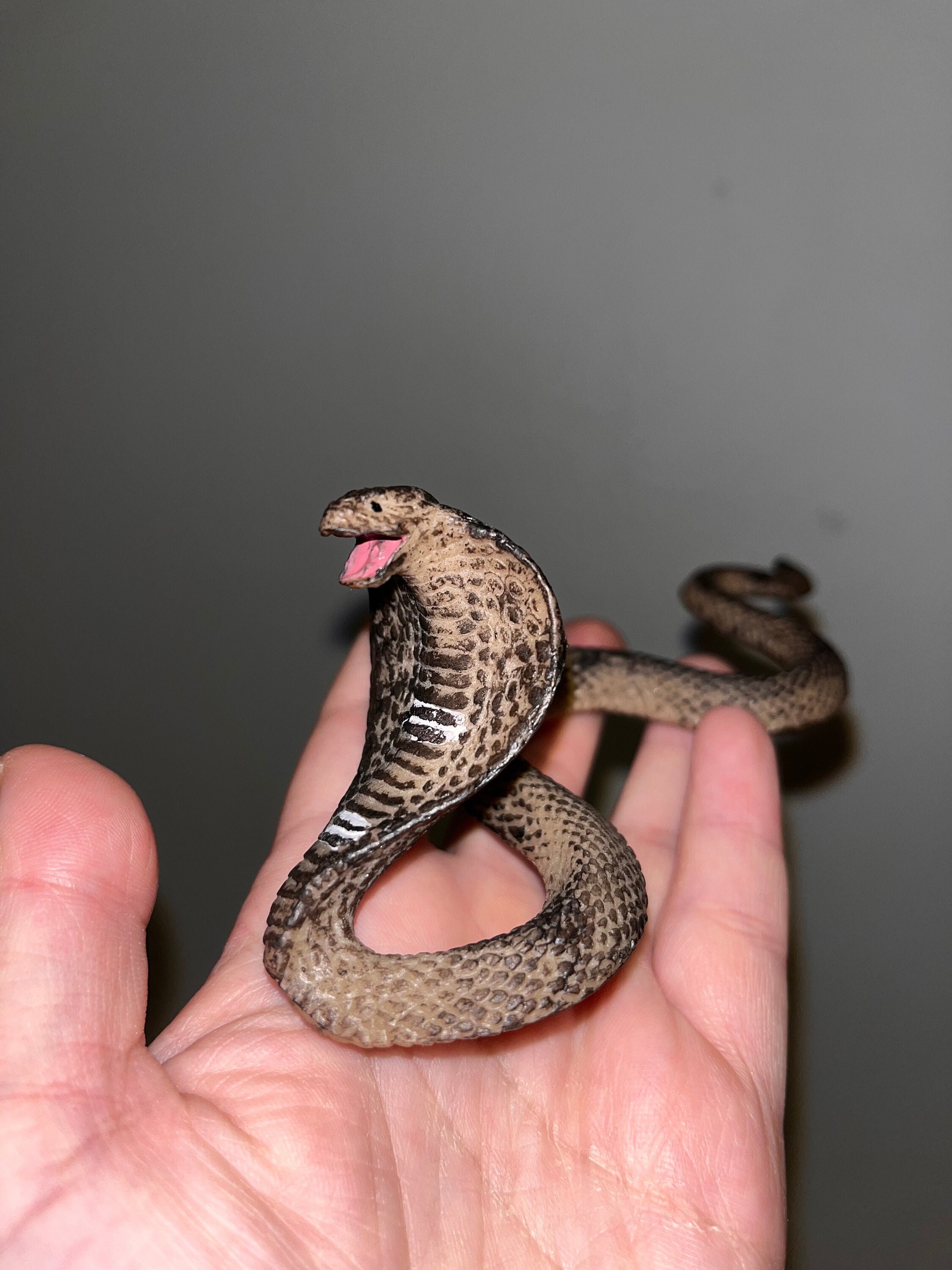 Snake Prank - Etsy Snake Prank - Etsy
