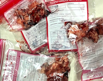 Fake Specimen Organ Flesh Transplant Bag Prop Body Brain Tissue Medicine Tongue Anatomy Decor Halloween Movie Morbid Horror