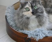 Japanese magewappa pet bed, made in japan, hinoki bed, japanese traditional craft, cat furniture, only one in the world made to order