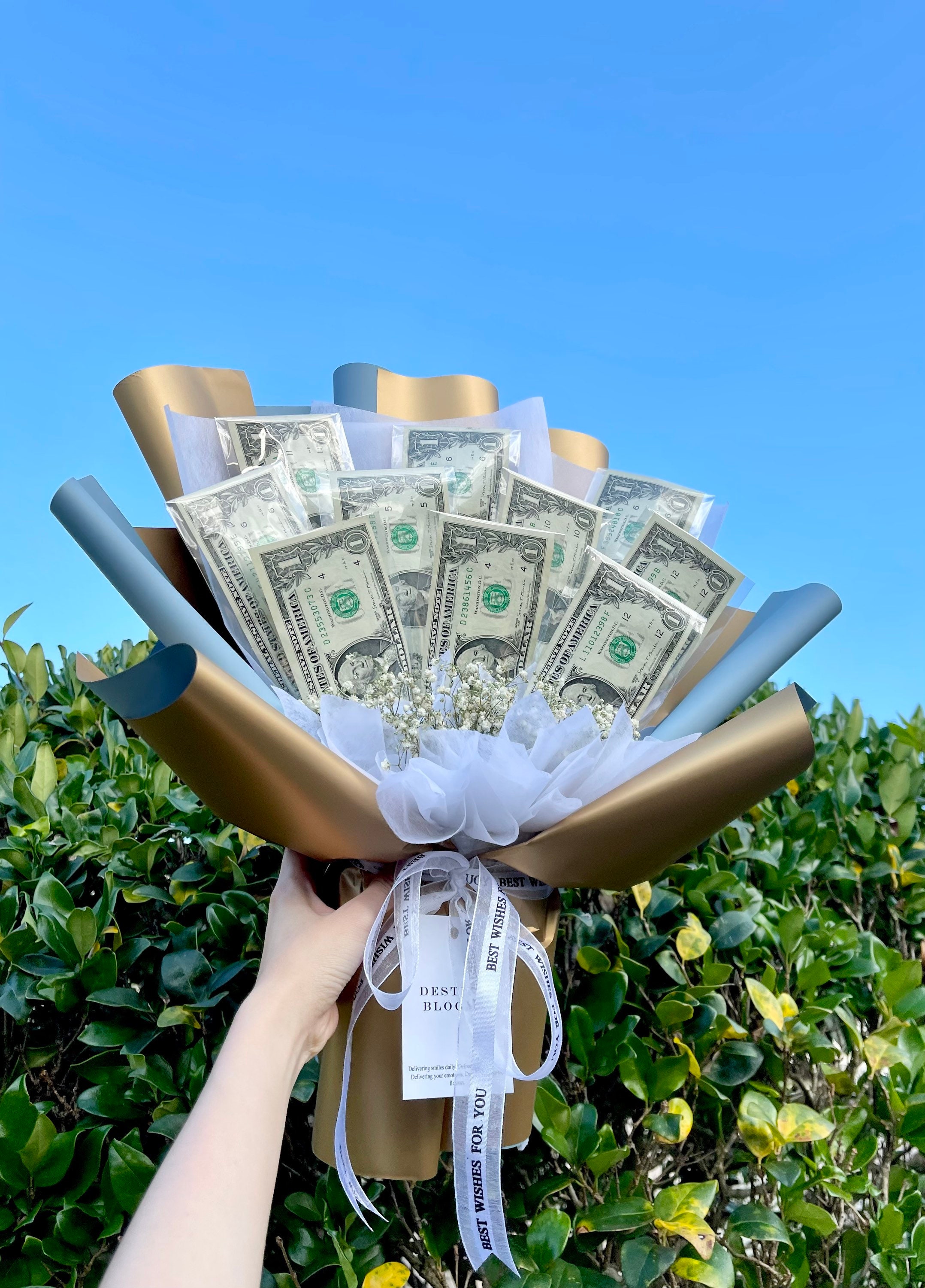 Money Bouquet Graduation Gift or Birthday Gift no Money Included 