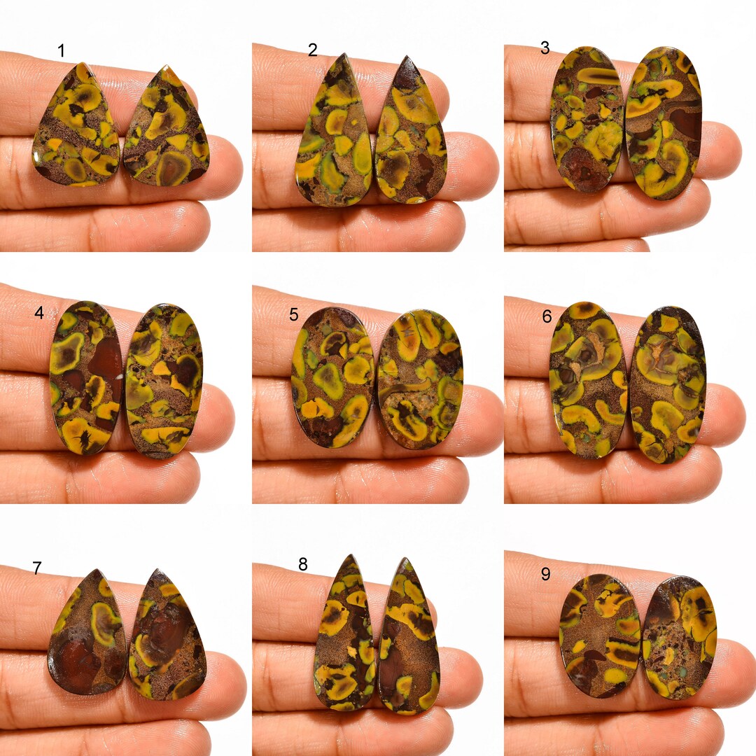 Fruit Jasper Gemstone Pair Fruit Jasper Stone Mix Shape Pair Etsy