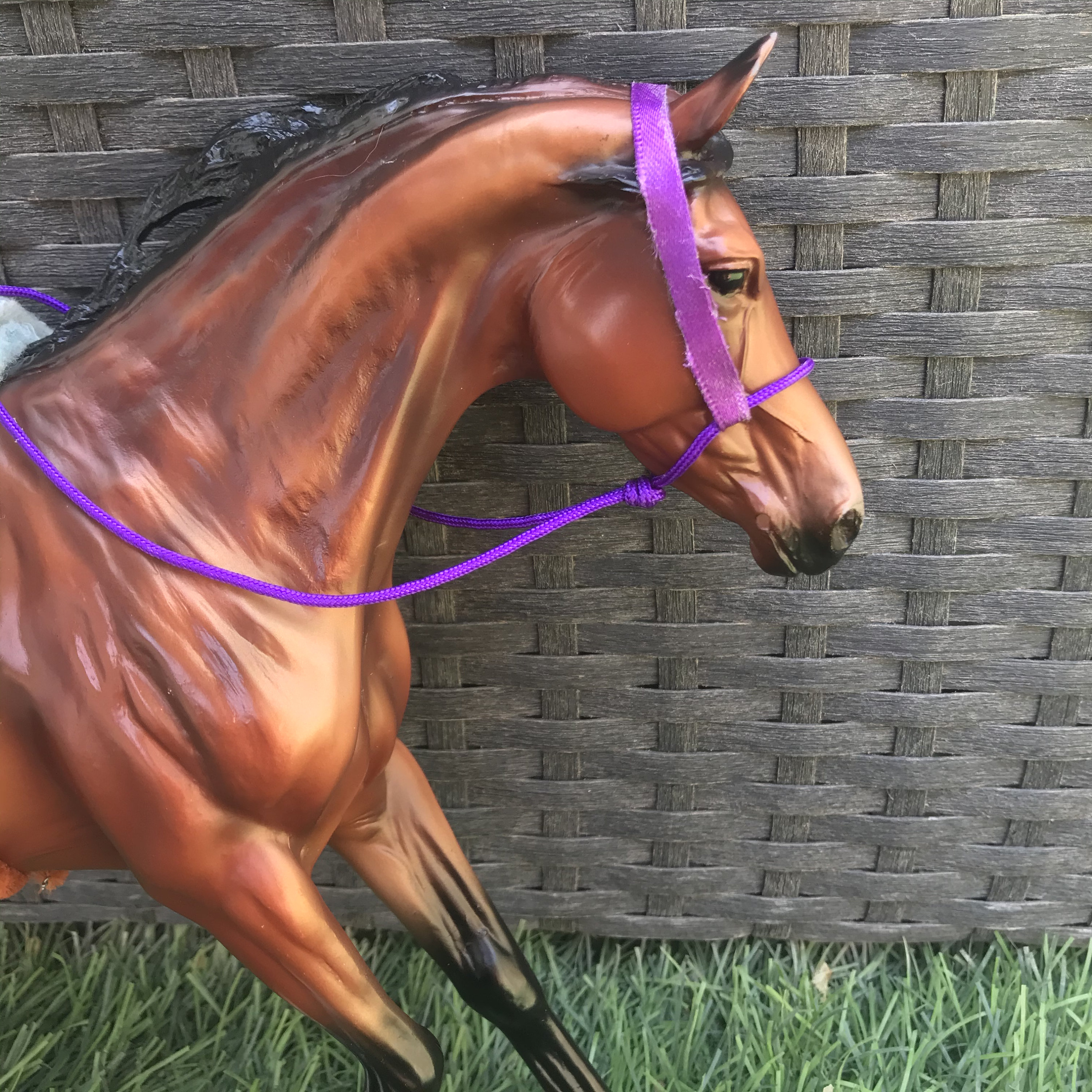 Double padded vaulting set with bosal bridle Etsy