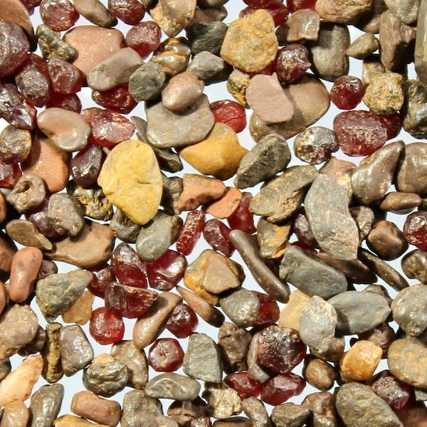 Czech garnet - pyrope, natural panning concentrate with pyrope crystals, hematite, limonite, etc., Czech Republic, price for 20 grams