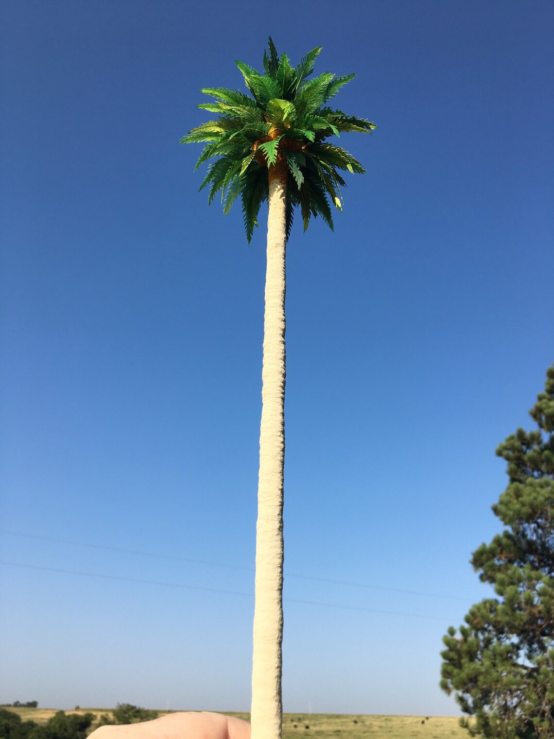 Palm Tree Model 14 Tall Etsy