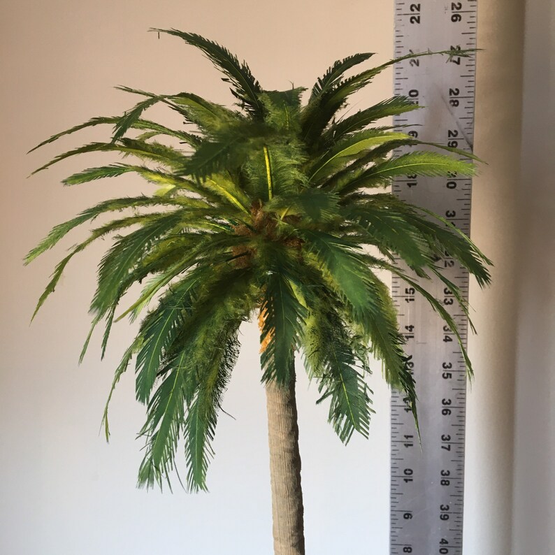 Palm Tree Model Tree 22 Etsy