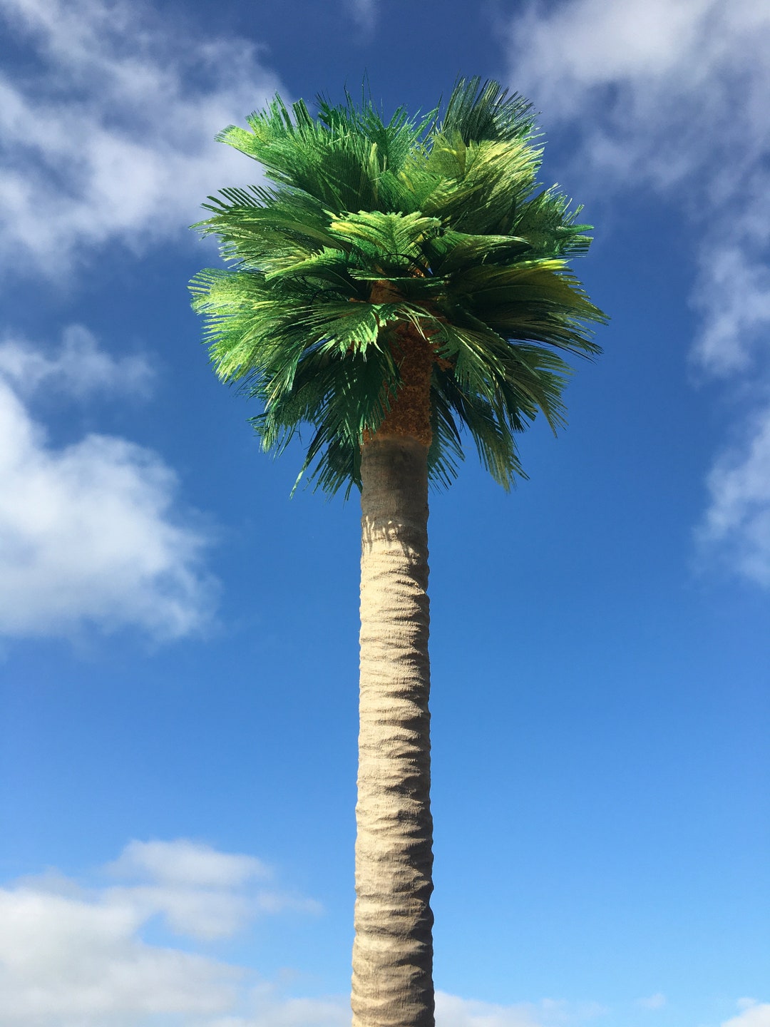 15 Palm Tree Model Etsy