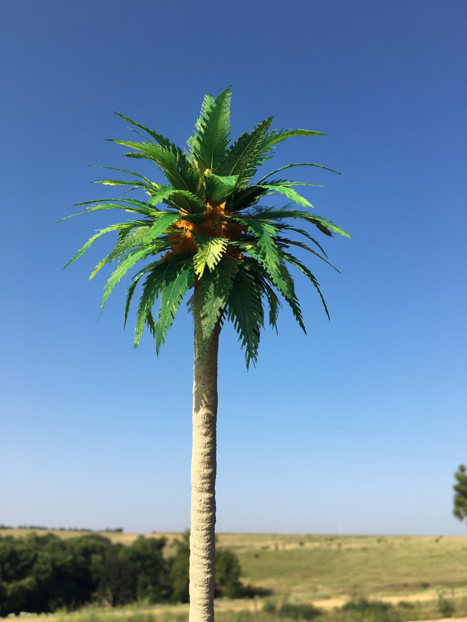 Palm Tree Model 14 Tall Etsy